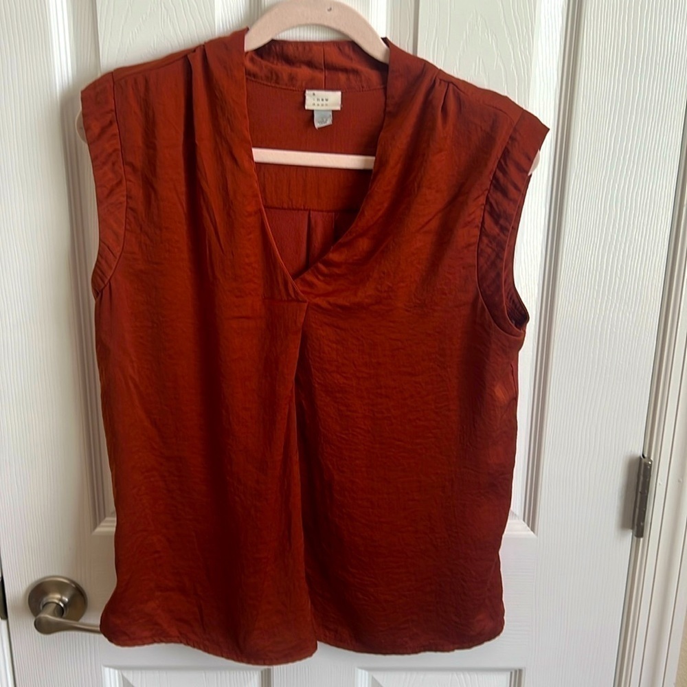 A New‎ Day Sleeveless Blouse V-Neck Pleated Front Rust Color Casual Top